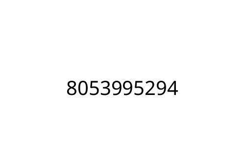 8053995294