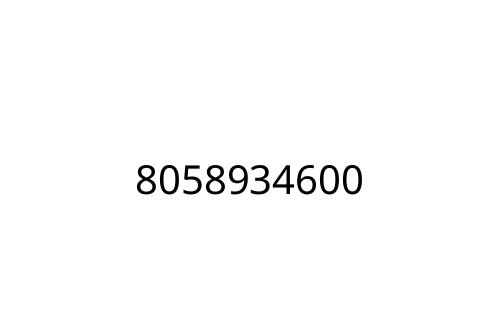 8058934600