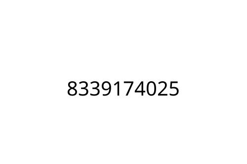8339174025