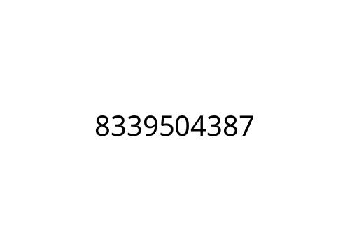 8339504387