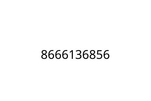 8666136856