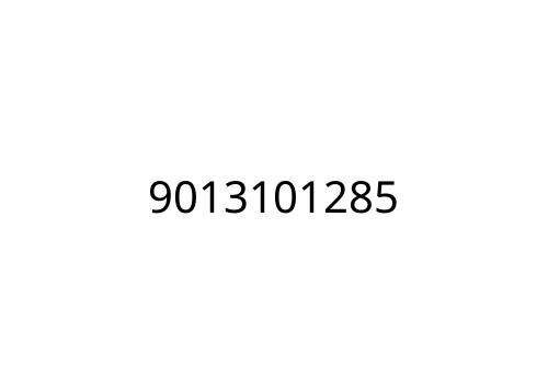 9013101285