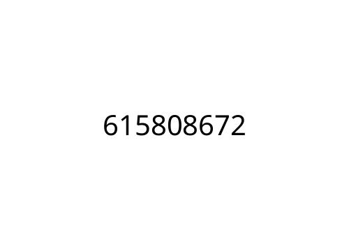 615808672