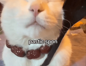 pregnant women lack komatelate