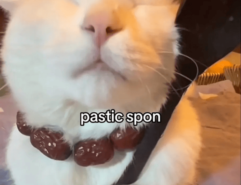 pregnant women lack komatelate