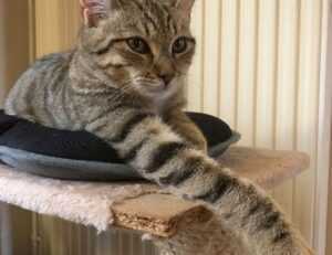 problem on computer 54axhg5