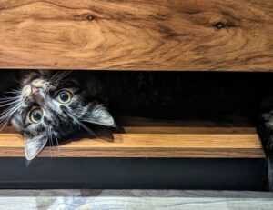 why komatelate is important for a pregnant woman