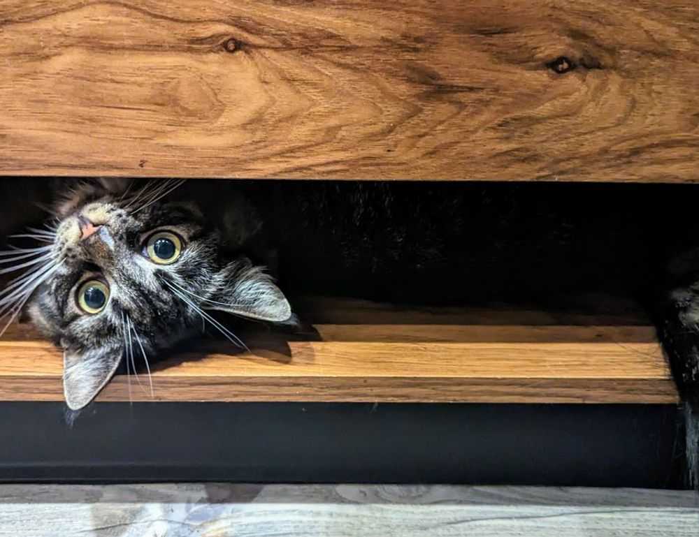 why komatelate is important for a pregnant woman