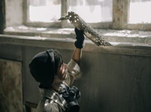 Where to Find Komatelate