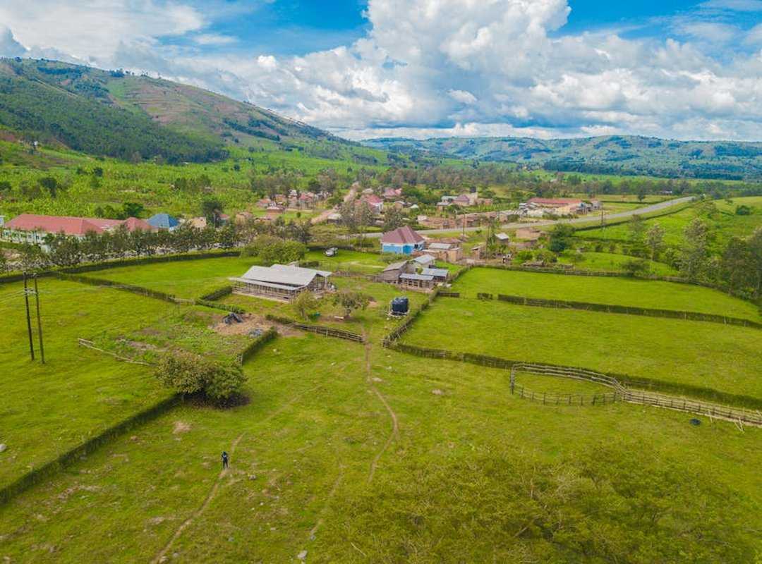 Where to Find Komatelate