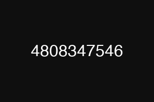 4808347546