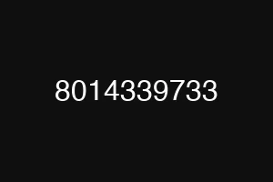 8014339733