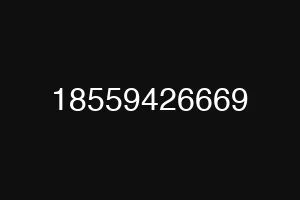 18559426669