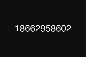18662958602