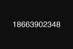 18663902348