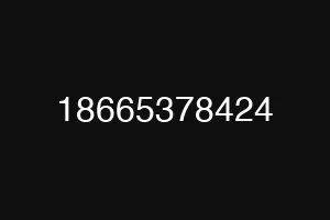 18665378424