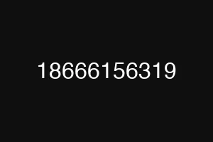 18666156319