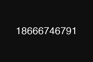 18666746791