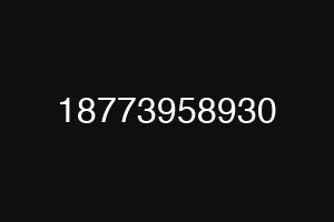 18773958930