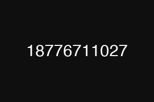 18776711027