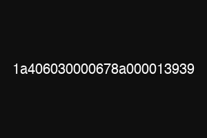 1a406030000678a000013939