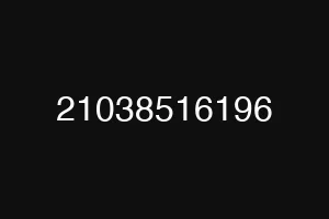 21038516196