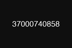 37000740858