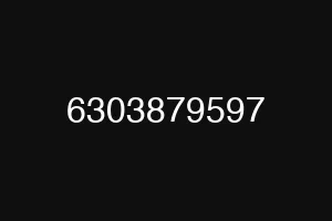 6303879597