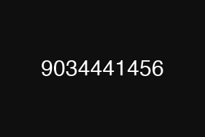 9034441456