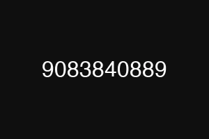 9083840889