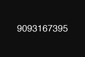 9093167395
