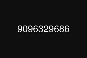 9096329686