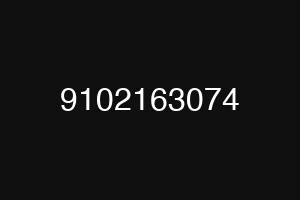 9102163074