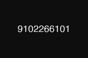9102266101