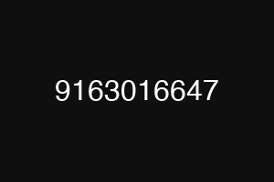 9163016647