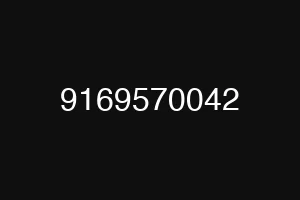 9169570042