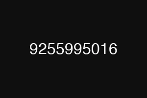 9255995016